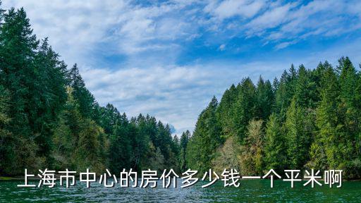 上海市中心的房價多少錢一個平米啊