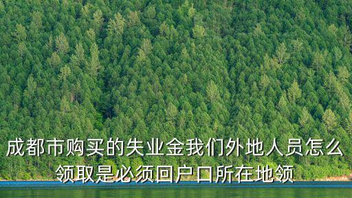 成都市微信怎么領取失業金，成都市購買的失業金我們外地人員怎么領取是必須回戶口所在地領