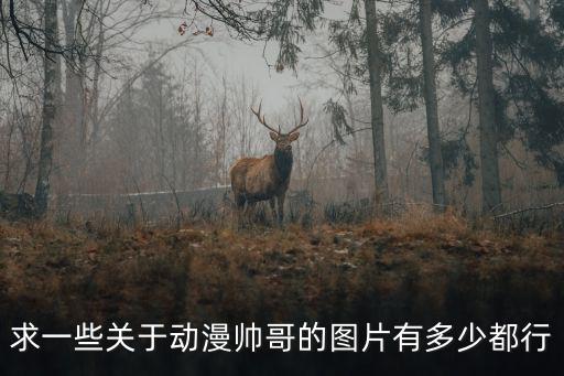 求一些關于動漫帥哥的圖片有多少都行