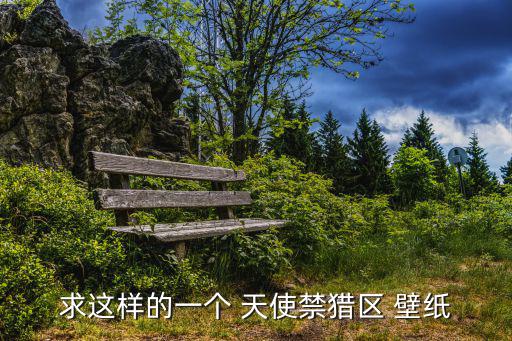 求這樣的一個 天使禁獵區 壁紙