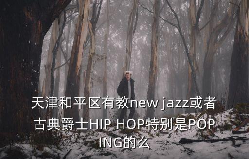 天津和平區(qū)有教new jazz或者古典爵士HIP HOP特別是POPING的么