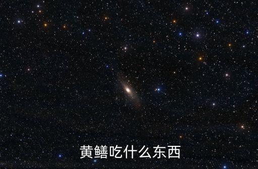 黃鱔吃什么,黃鱔怎么吃才能吃shishi!