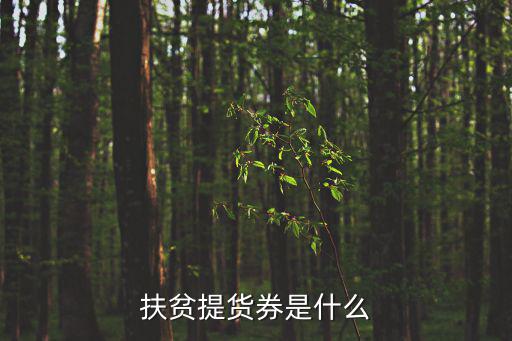 扶貧提貨券是什么