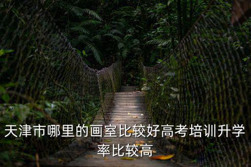 天津市哪里的畫室比較好高考培訓升學率比較高