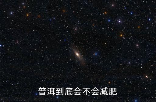 普洱到底會不會減肥