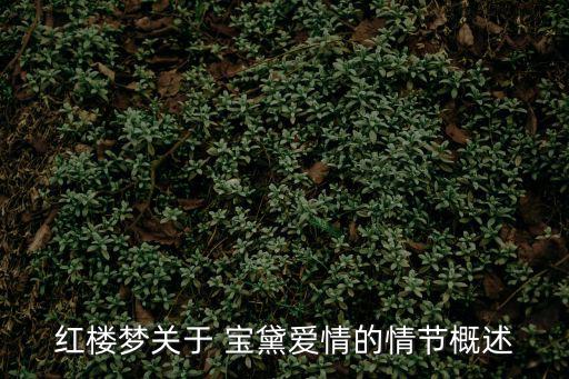 寶黛,寶黛相遇那一刻起情債又一次被不可抗拒激起