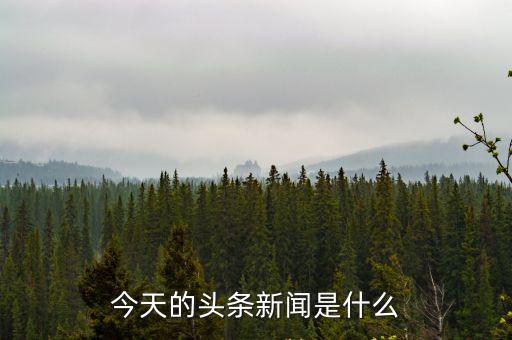 今天的頭條新聞是什么
