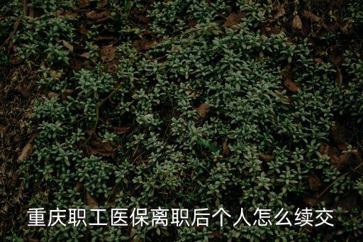 重慶職工醫保離職后個人怎么續交