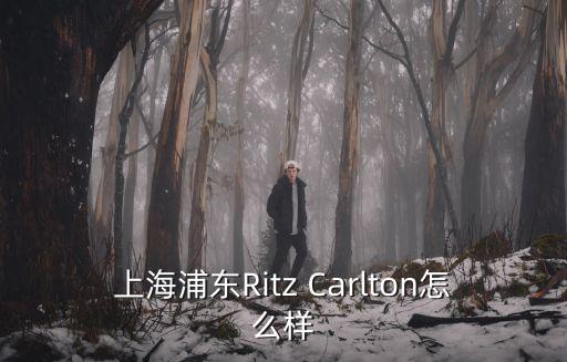 上海浦東Ritz Carlton怎么樣