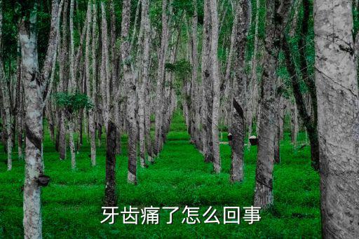  牙齒痛了怎么回事