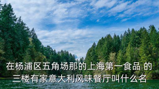 在楊浦區五角場那的上海第一食品 的三樓有家意大利風味餐廳叫什么名