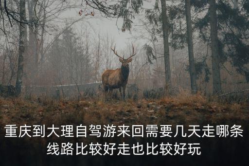 重慶市區(qū)到大理有多少公里路，重慶自駕到大理具體線路怎么走想從貴州這邊走