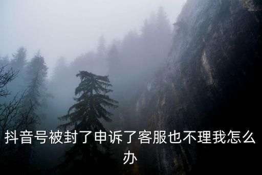 抖音號被封了申訴了客服也不理我怎么辦