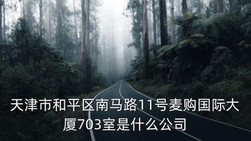 天津市和平區(qū)南馬路11號(hào)麥購國際大廈703室是什么公司