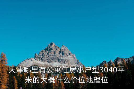 天津哪里有公寓住房小戶型3040平米的大概什么價位地理位