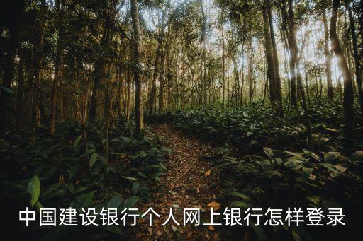 中國建設銀行個人網上銀行怎樣登錄