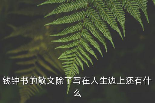 錢鐘書的散文除了寫在人生邊上還有什么
