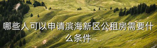 哪些人可以申請濱海新區公租房需要什么條件