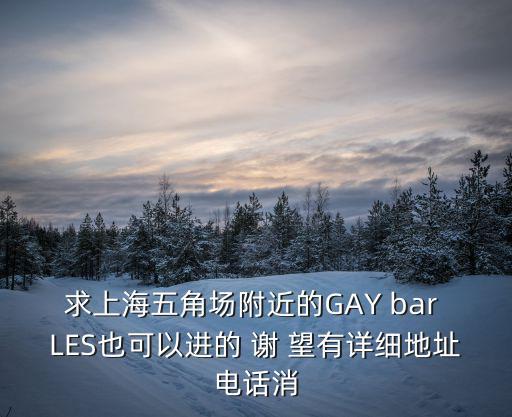 上海市人民大道100號，求上海五角場附近的GAY bar LES也可以進的 謝 望有詳細地址電話消