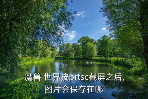  魔獸 世界按prtsc截屏之后,圖片會保存在哪