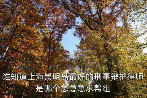 誰知道上海崇明島最好的刑事辯護律師是哪個急急急求幫組
