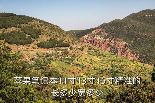 蘋果筆記本11寸13寸15寸精準的長多少寬多少