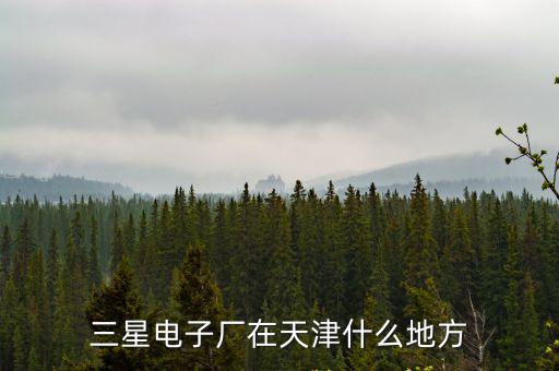 三星電子廠在天津什么地方
