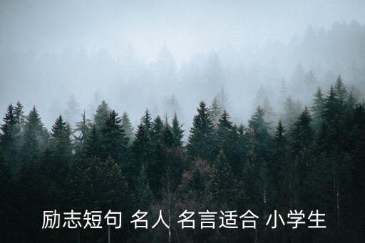 名人名言大全經(jīng)典勵志小學(xué)生,一文讀懂!未來挑戰(zhàn)