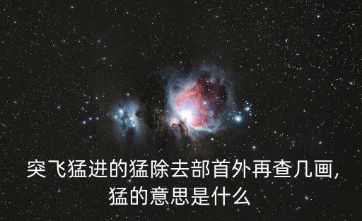  突飛猛進(jìn)的猛除去部首外再查幾畫,猛的意思是什么