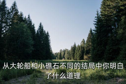 從大輪船和小礁石不同的結局中你明白了什么道理