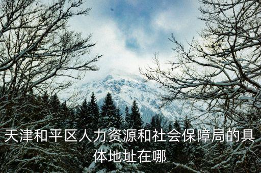 天津市和平區人力資源和社會保障部，天津和平區人力資源和社會保障局的具體地址在哪