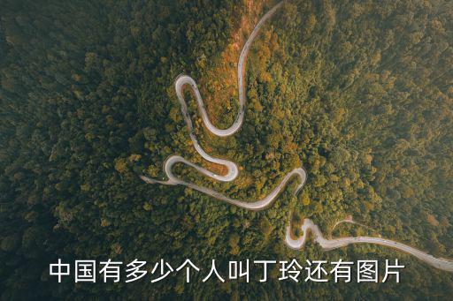 中國有多少個人叫丁玲還有圖片