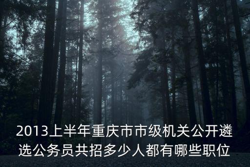 重慶市市直事業遴選，2013上半年重慶市市級機關公開遴選公務員共招多少人都有哪些職位