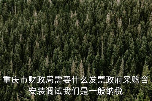 重慶市江津區財政局怎么打發票，重慶市財政局需要什么發票政府采購含安裝調試我們是一般納稅