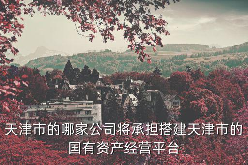 天津市的哪家公司將承擔搭建天津市的國有資產經營平臺