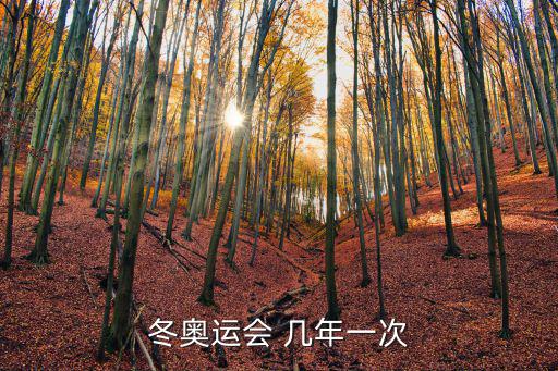 冬奧運會 幾年一次