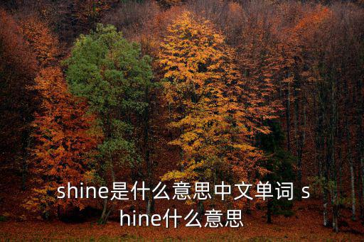  shine是什么意思中文單詞 shine什么意思