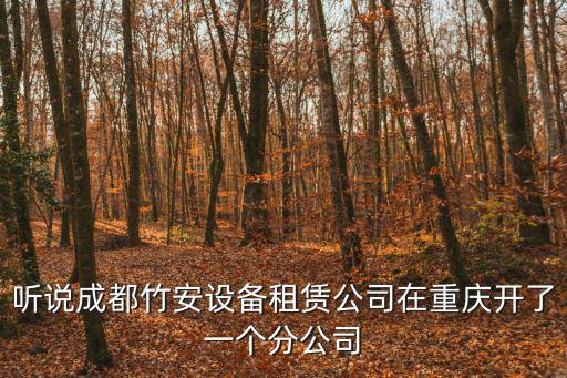 重慶市升降平臺有限公司，重慶立誠施工升降機是哪個廠家生產(chǎn)的