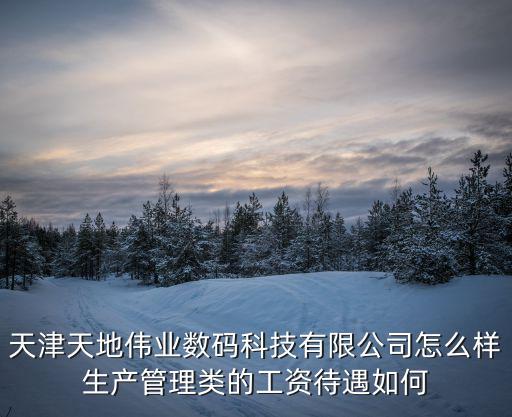 天津天地偉業數碼科技有限公司怎么樣生產管理類的工資待遇如何