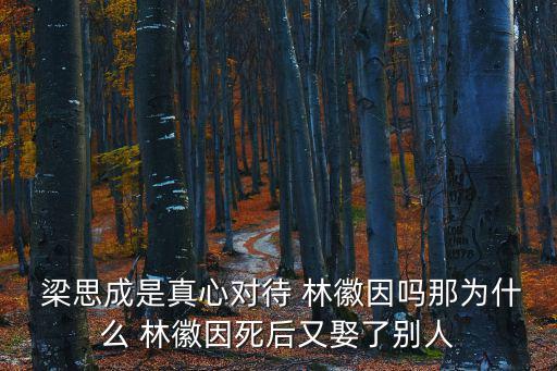  梁思成是真心對待 林徽因嗎那為什么 林徽因死后又娶了別人