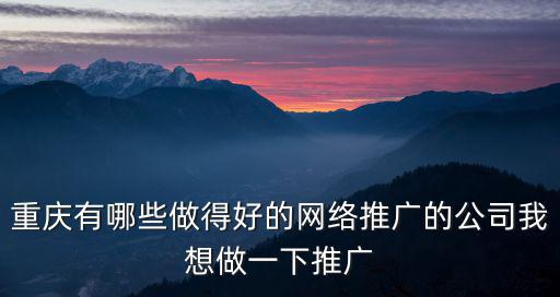 重慶有哪些做得好的網絡推廣的公司我想做一下推廣