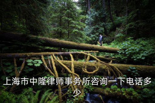 上海市中隆律師事務所咨詢一下電話多少