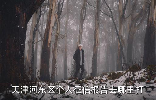 天津河東區個人征信報告去哪里打