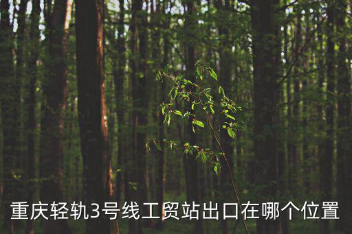 重慶市工貿輕軌站在什么地方，重慶輕軌3號線工貿站出口在哪個位置