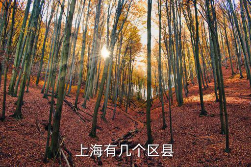 上海有幾個區縣