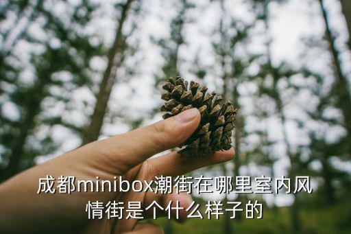 成都minibox潮街在哪里室內風情街是個什么樣子的