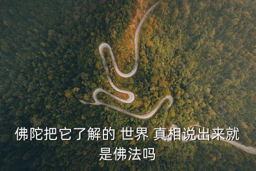世界真相,我的唯一世界是假的卻是真的