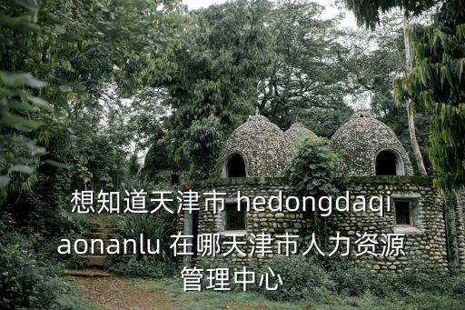 想知道天津市 hedongdaqiaonanlu 在哪天津市人力資源管理中心