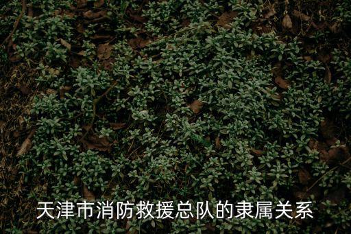 天津市消防救援總隊的隸屬關系