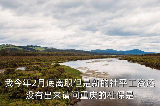 我今年2月底離職但是新的社平工資還沒有出來請問重慶的社保是